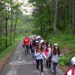 Poggio di Carpegna 2014 turno 1 giorno 2 - La Mia Estate Giocamondo-poggiocarpegna_turno1_giorno2_foto3-150x150