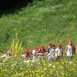 Valore Vacanza 2015: Pizzalto turno 2 giorno 2 - La Mia Estate Giocamondo-pizzalto_turno2_giorno2_foto08-150x150