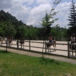 Estate INPSieme 2016: Roccaraso // Equitazione Senior Primo Turno giorno 2 - La Mia Estate Giocamondo-EquitazioneSenior_turno1_giorno2_02-150x150