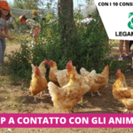 Soggiorno Estivo Estate INPSieme | HAPPY FARM - VITA IN FATTORIA-6-37-150x150