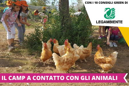 Soggiorni estivi 2021 - Estate INPSieme destinazione Italia-6-37