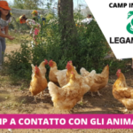 Soggiorno Estivo Estate INPSieme | HAPPY FARM - VITA IN FATTORIA-COPERTINE-CRISTAL-3-150x150