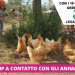 Soggiorno Estivo Estate INPSieme | HAPPY FARM - VITA IN FATTORIA-COPERTINE-CRISTAL-6-150x150