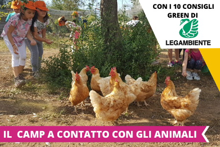 Estate INPSieme Soggiorni Estivi Italia per ragazzi 6-14 anni Conformi 100%-COPERTINE-CRISTAL-6