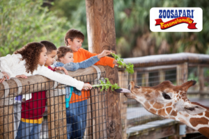 ZooSafari