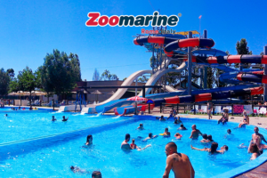Zoomarine