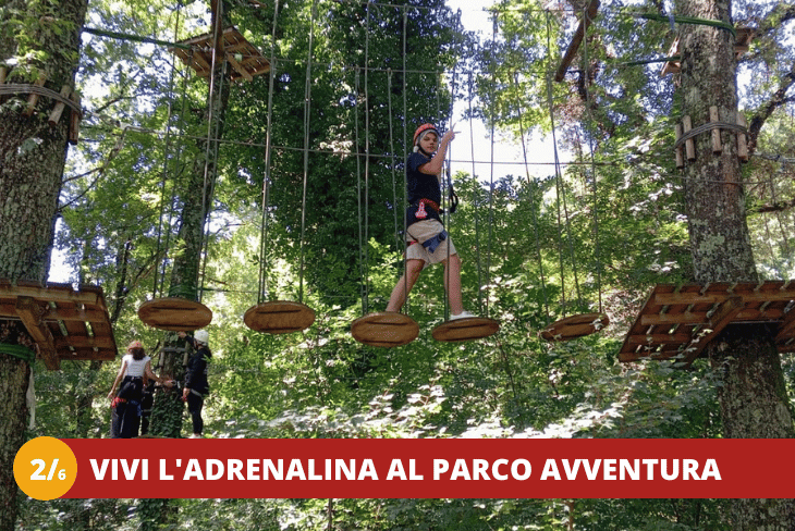 2_6 VITERBO - COMICS