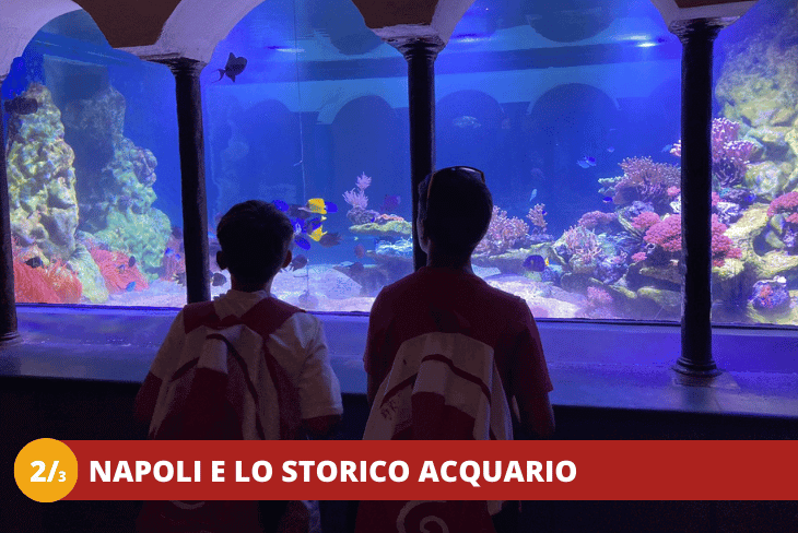 2_3 CAMPANIA - BAIA DOMIZIA - A TUTTO DIVERTIMENTO