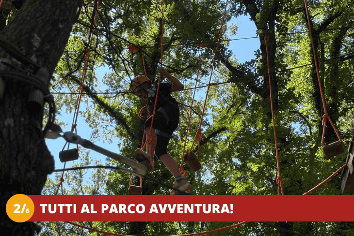 2_6 VITERBO - ENGLISH CAMP JUNIOR