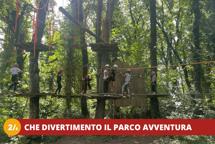 2_6 VITERBO - FASHION STYLIST