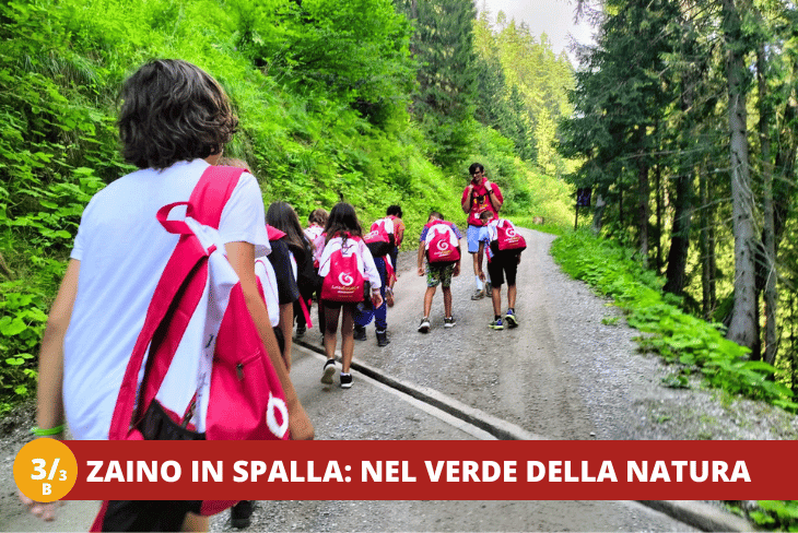 3_3B Trentino Wild - SETTIMANALE