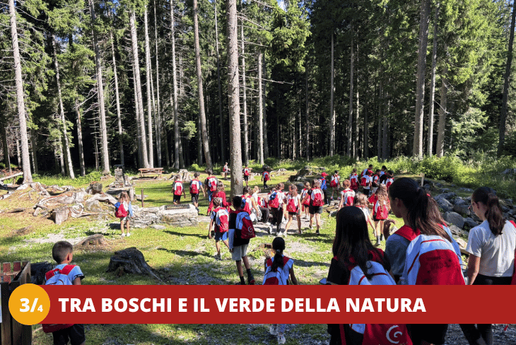 3_4 DOLOMITI ADVENTURE