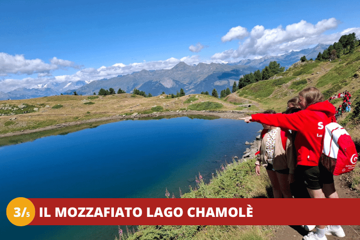 3_5 A tutta adrenalina_ esplorando la natura tra trekking e avventura! + Rafting