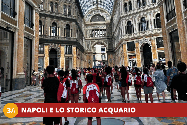 3_5 CAMPANIA - BAIA DOMIZIA - DAL TIRRENO AL VESUVIO