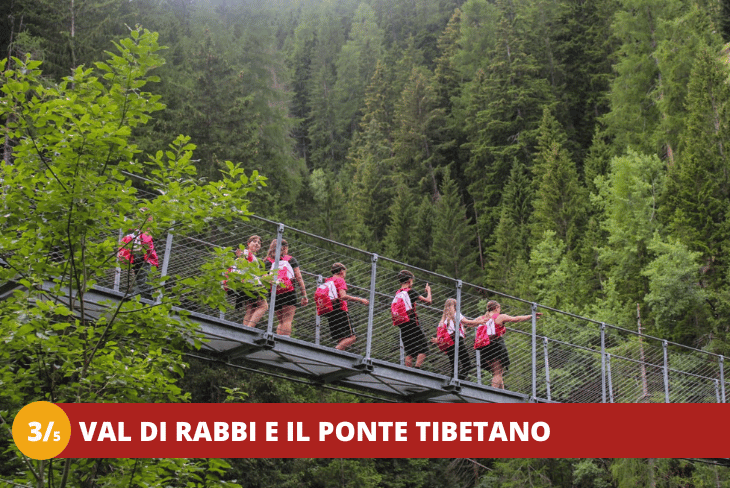 3_5 ENGLISH ADVENTURE CAMP SULLE DOLOMITI + GARDALAND