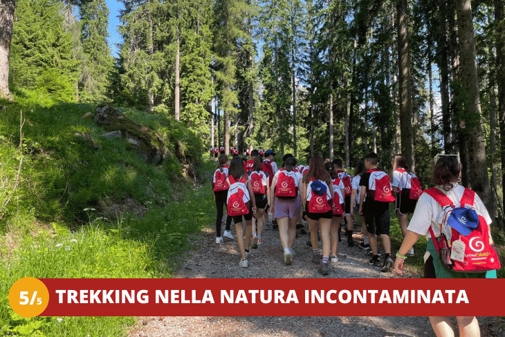 5_5 ENGLISH DISCOVERY TRA I PAESAGGI DEL TRENTINO + GARDALAND