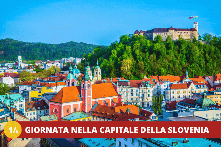 1_6 VENETO - CAMPUS H-FARM - FULL ENGLISH ACADEMY