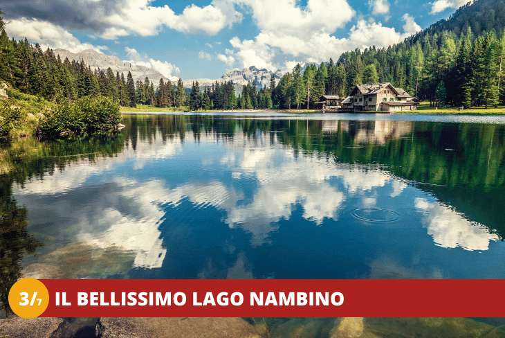 3_7 TRENTINO - MADONNA DI CAMPIGLIO - NATURE POWER