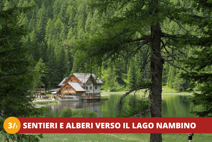 3_7 TRENTINO - MADONNA DI CAMPIGLIO - OVER THE TOP