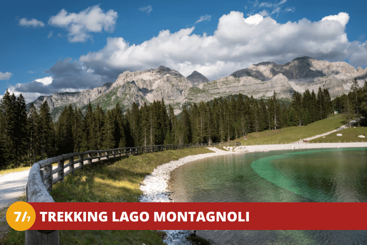 7_7 TRENTINO - MADONNA DI CAMPIGLIO - NATURE POWER