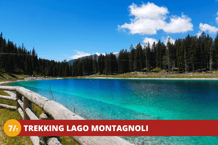 7_7 TRENTINO - MADONNA DI CAMPIGLIO - OVER THE TOP