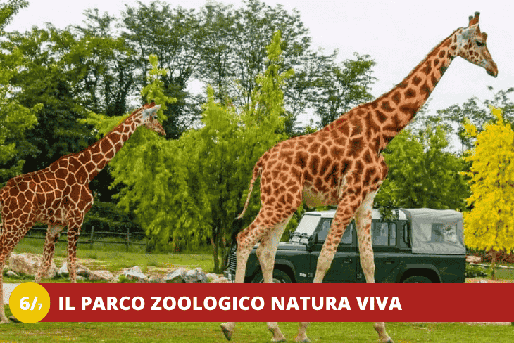 66 VENETO - LAGO DI GARDA - AVVENTURE UNICHE