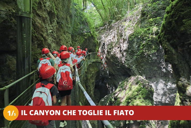 1_5 Trentino Wild BPM