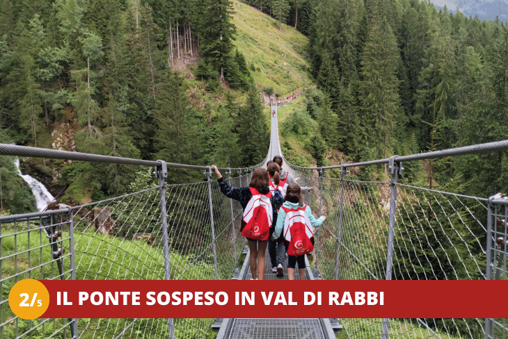 2_5 Trentino Wild BPM