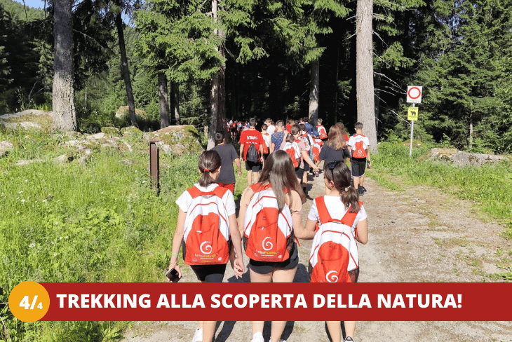 44 TRENTINO – MARILLEVA – LA REGINA DELLE ALPI - BPM