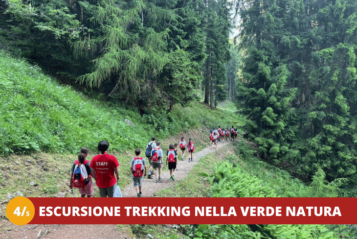 4_5 Trentino Wild BPM