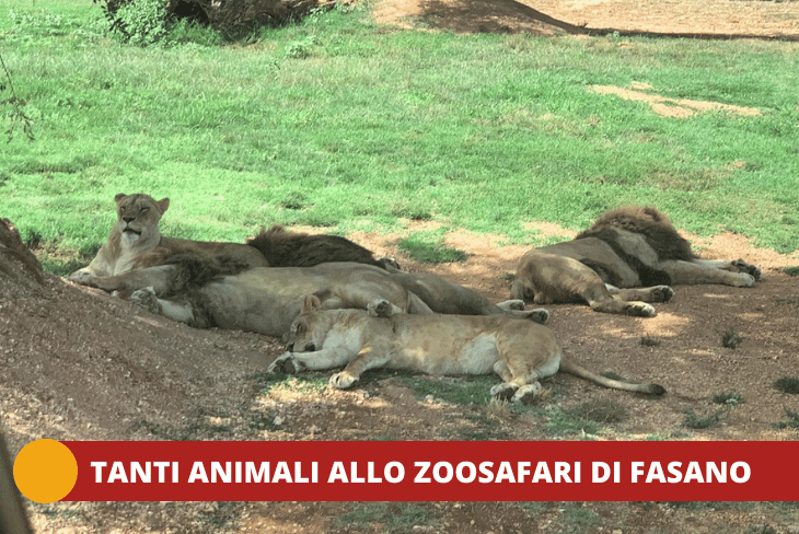 EXTRA - DISCOVERY SALENTO - BPM