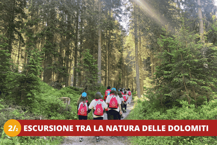 22 TRENTINO - MADONNA DI CAMPIGLIO - UN SOGGIORNO DOLOMITICO
