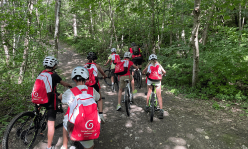 PIEMONTE GALLERY 1 LME 2026 (3)