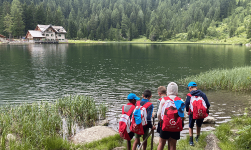 TRENTINO GALLERY 1 LME 2025 (1)