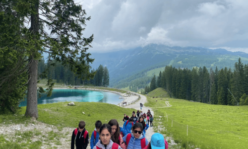 TRENTINO GALLERY 1 LME 2025 (14)