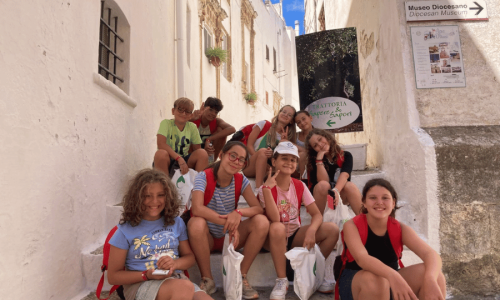 Wild Summer 25_26 (2)